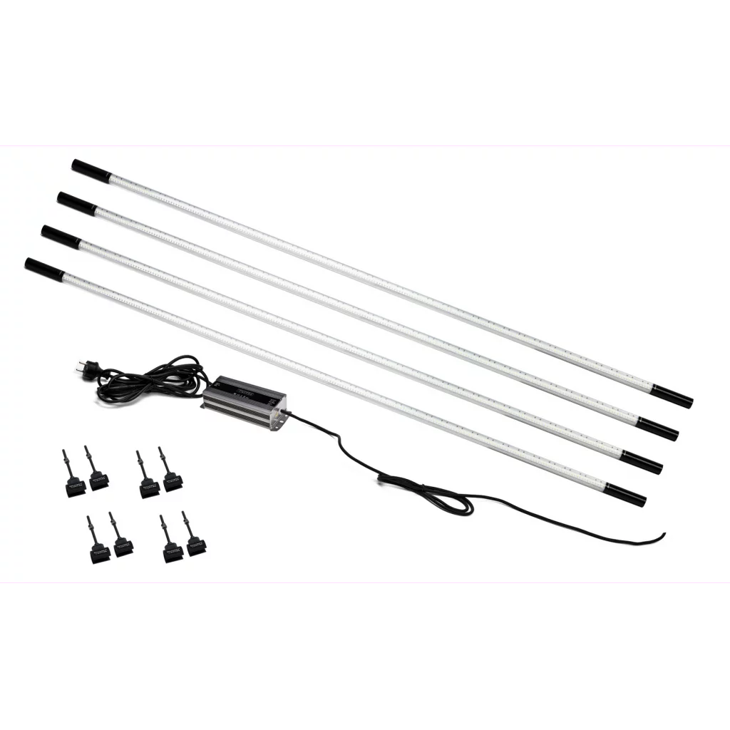 LINE LIGHT 6