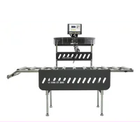 it-200-inflation-station-plus-1.0