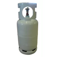 r456a-kuldemedium-12-kg